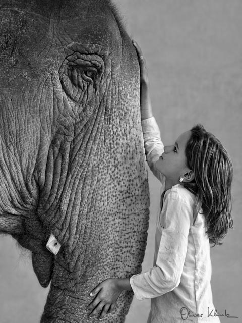 Elephant and Girl